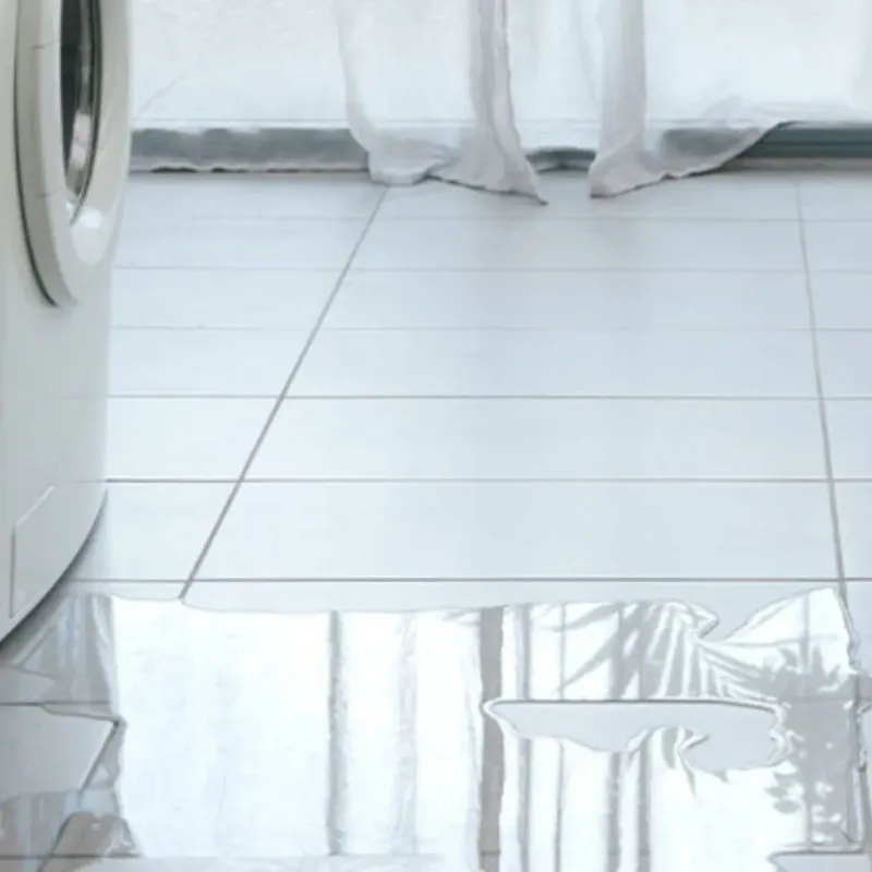 Appliance Leak Cleanup in Seabrook Island, SC